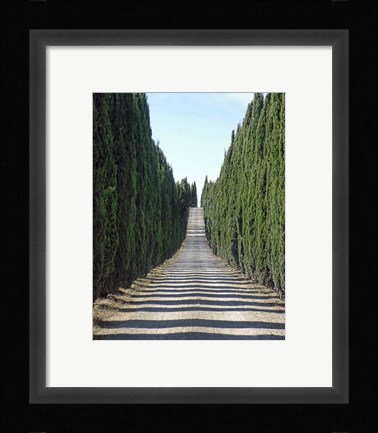 Framed Trip Treepath Print