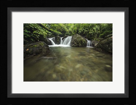 Framed Lake Sebu Print