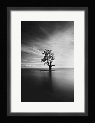 Framed Light Catcher Print