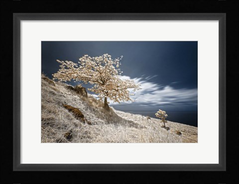 Framed Mother and Child Print