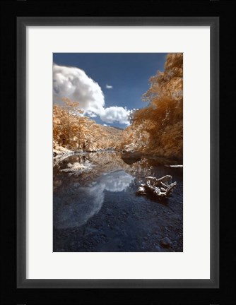 Framed Unflappable Print