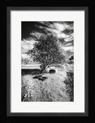 Framed Lonesome Print