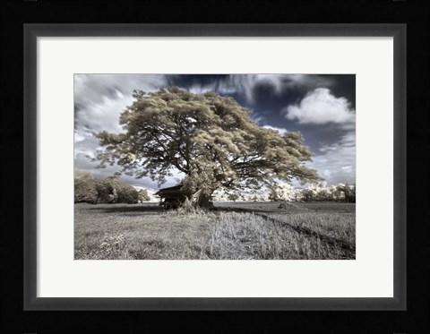 Framed San Gabriel Print