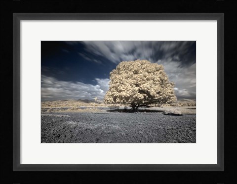 Framed Papsikol Print