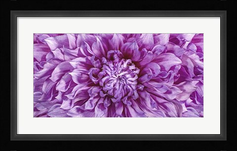 Framed Dalia 4 Wet Color Cuadrada Print
