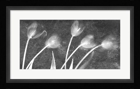 Framed Flores Congeladas 3646 Bn Print