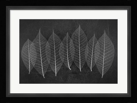 Framed Leaves 3 Print