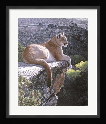 Framed Cougar Country Print