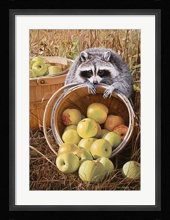 Framed Apple Harvest Print