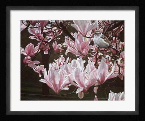 Framed Magnolia Print