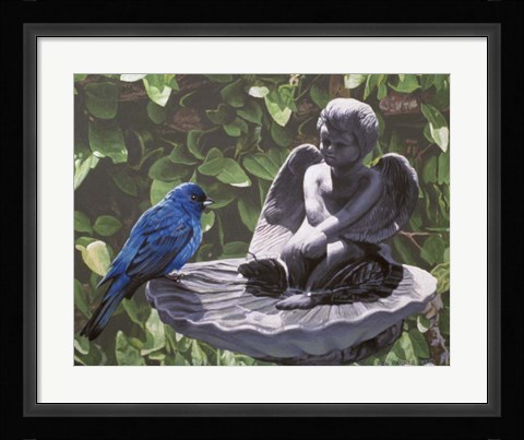 Framed Water Dish Print