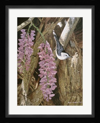 Framed Wysteria Print