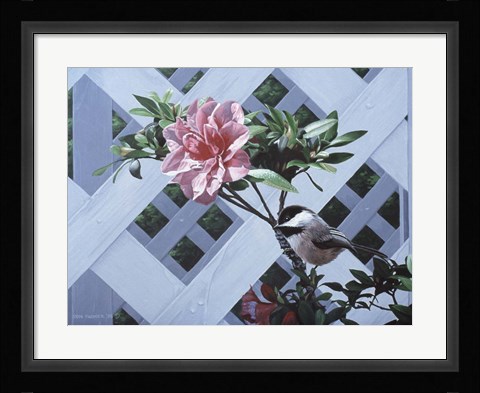 Framed White Lattice Print