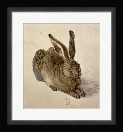 Framed Young Hare, c.1502 Print