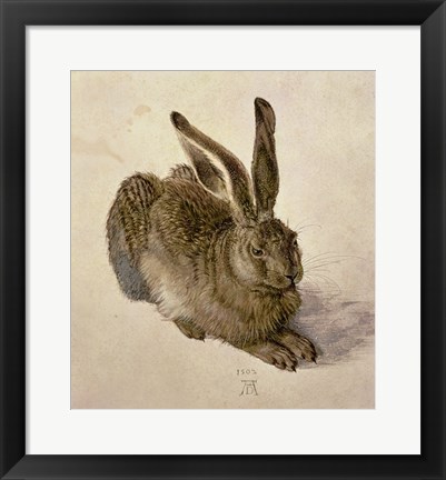 Framed Young Hare, c.1502 Print