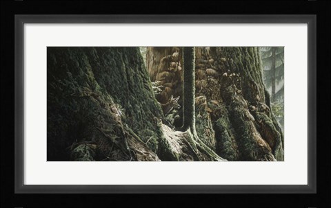 Framed Blacktail In Sitka Print