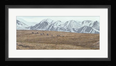 Framed Northern Skyline - Caribou Print