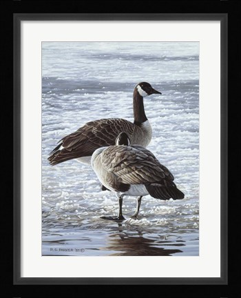 Framed Freeze Up- Canada Geese Print