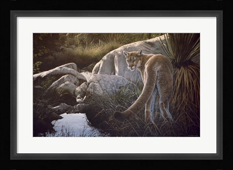 Framed Creekside Cougar Print