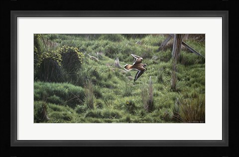 Framed Spring Flight Print