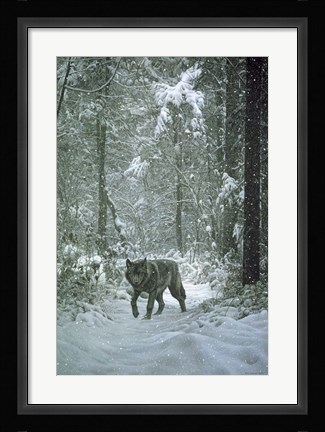 Framed Winter Encounter - Wolf Print