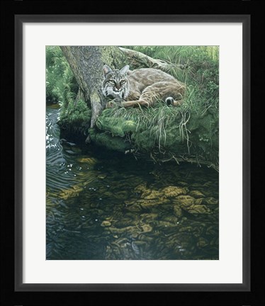 Framed Summer Stream Bank Print