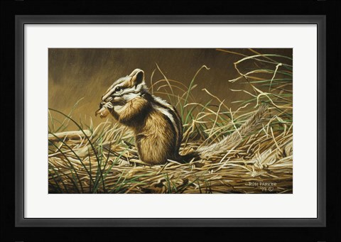 Framed Chipmunk Print