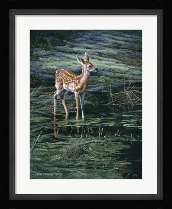 Framed Ponds Edge Print