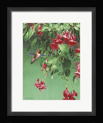 Framed Hanging Basket Print