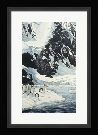 Framed Penguins Print