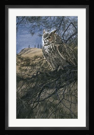 Framed Great Horned Owl 2 Print