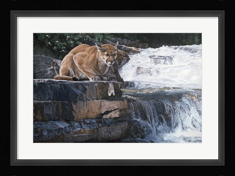 Framed Summer Creek Print