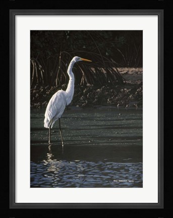 Framed Great Egret Print