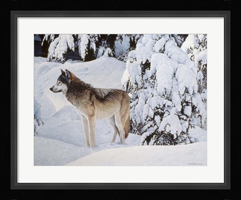 Framed Winter's Blanket Print