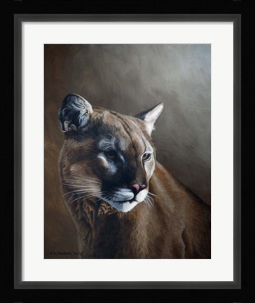 Framed Cougar Print