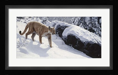 Framed Soft Snow- Cougar Print