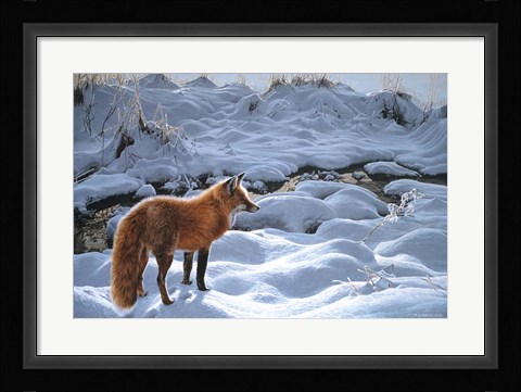 Framed Icy Morning- Red Fox Print