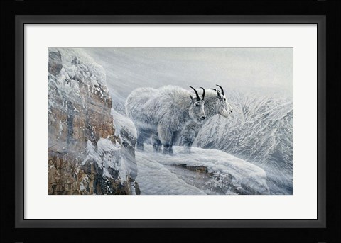 Framed Winter's Fury Mountain Goat Print