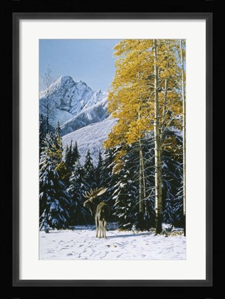 Framed Trembling Aspen Print
