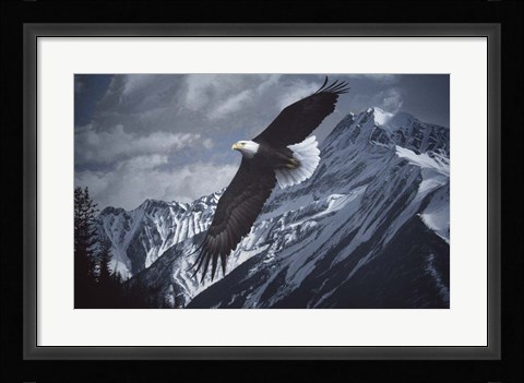 Framed Wings Over Winter Print