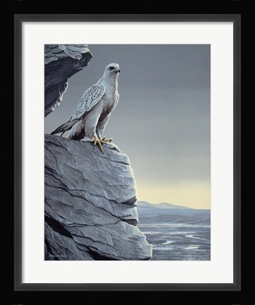 Framed Arctic Spring Print