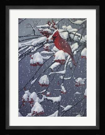 Framed Mountain Ash Print