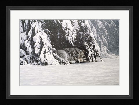 Framed Waiting Out The Storm Print