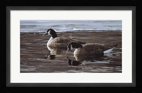 Framed Break In The Ice- Canada Geese Print