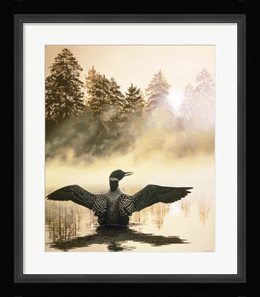 Framed Misty Dawn - Loon Print