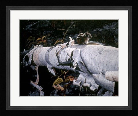 Framed Birch Log Print