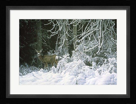 Framed Snow Palace - Mule Deer Print