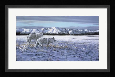Framed First Snow - Arctic Wolves Print