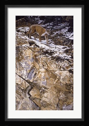 Framed On The Edge Print