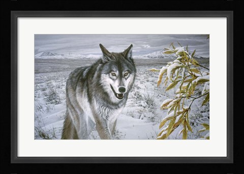 Framed Lone Wolf Print